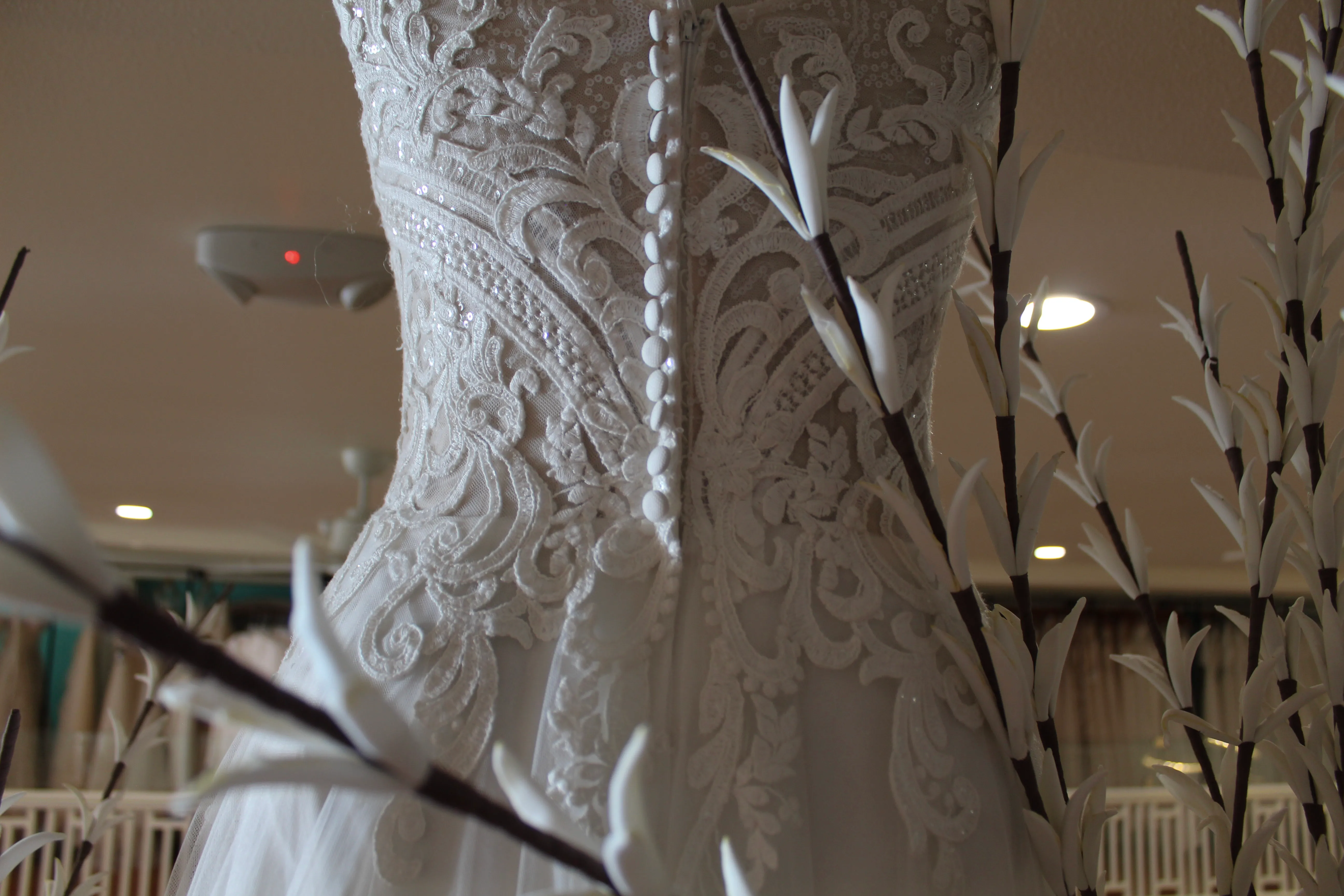 Carousel image: IMG_8046