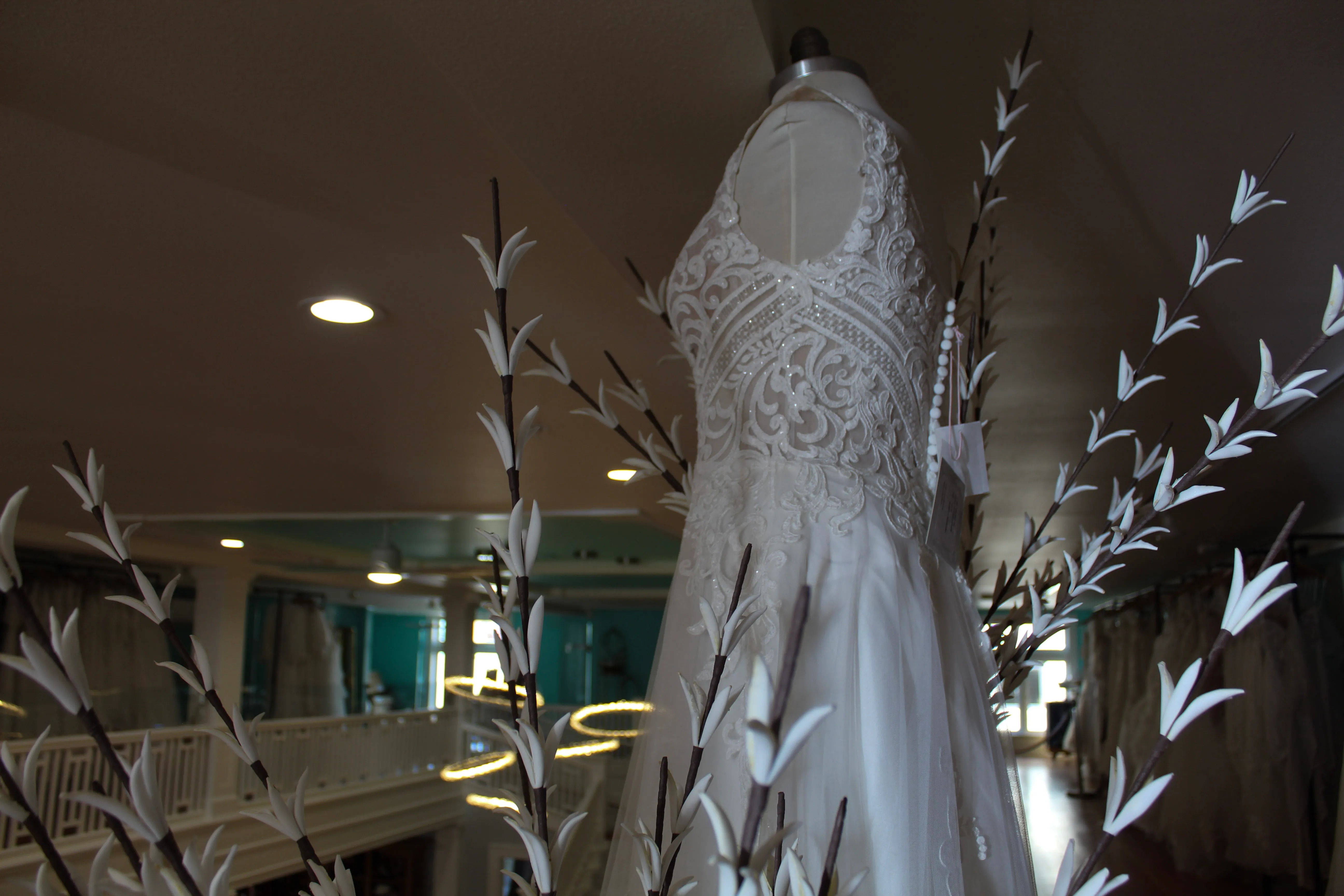 Carousel image: IMG_8047